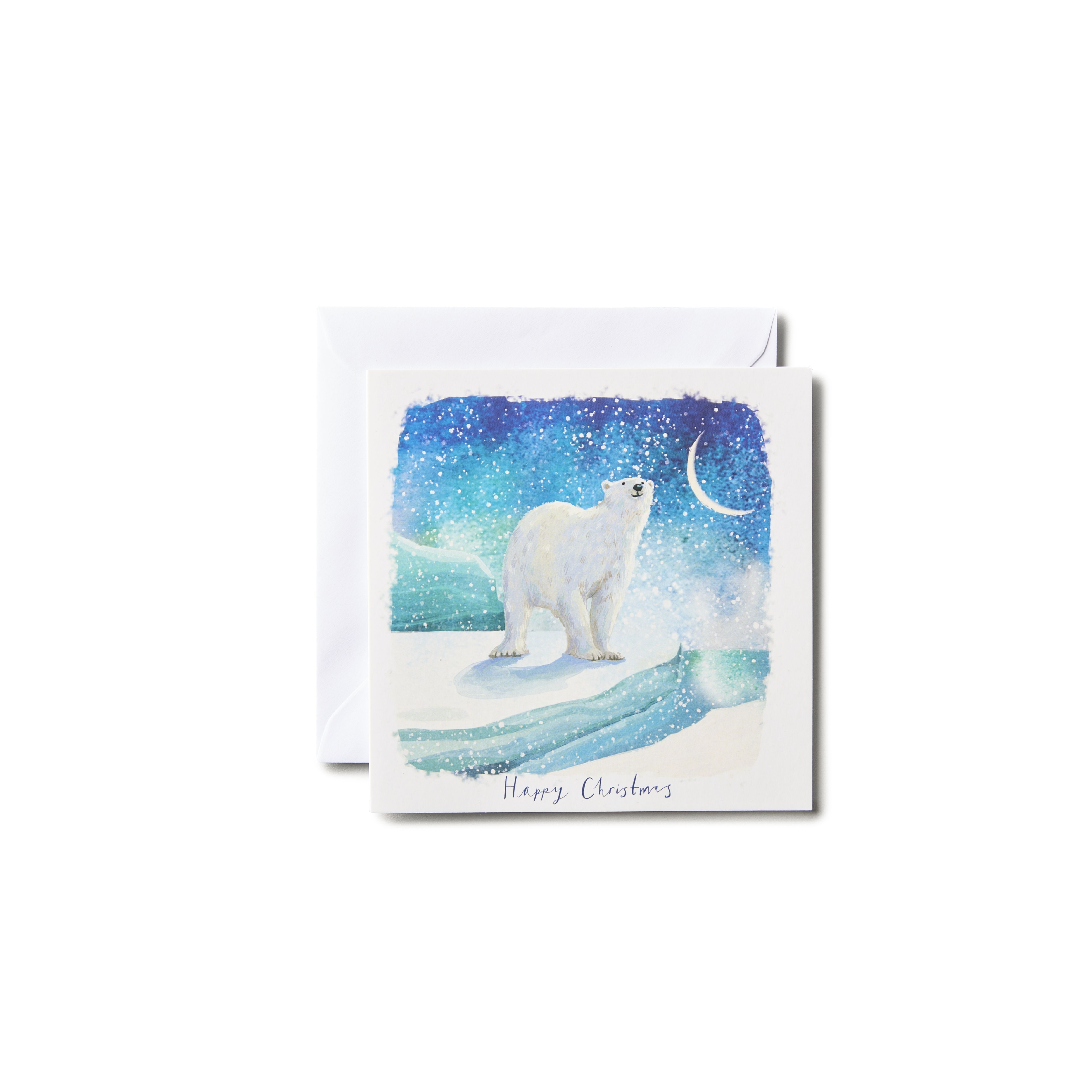 Shelter Polar bear Christmas card, Pack of 10