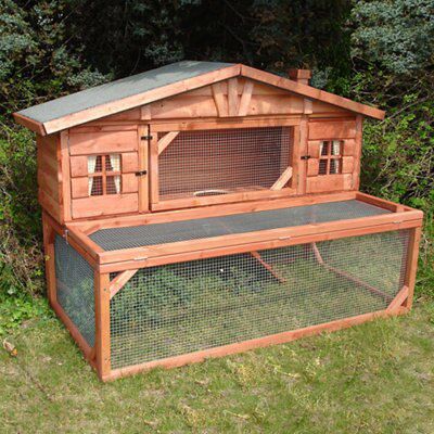 B&q sale rabbit hutch