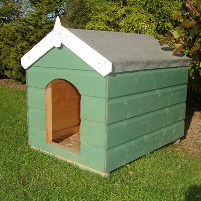 Green plastic dog store kennel