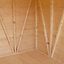 Shire Mammoth 10x10 ft & 1 window Apex Wooden Workshop