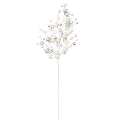 Silver Berry Stem