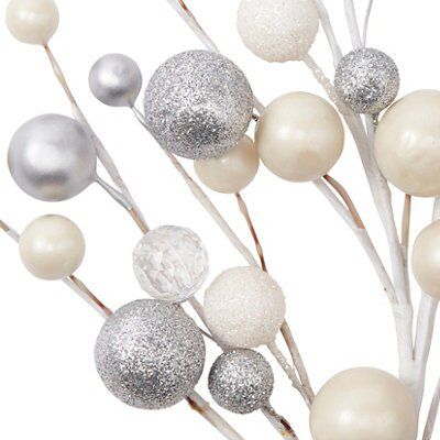 Silver Berry Stem