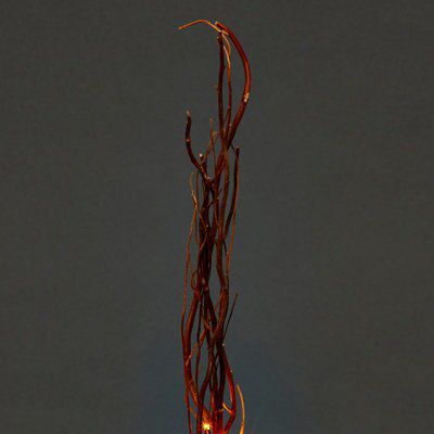 Single Christmas light