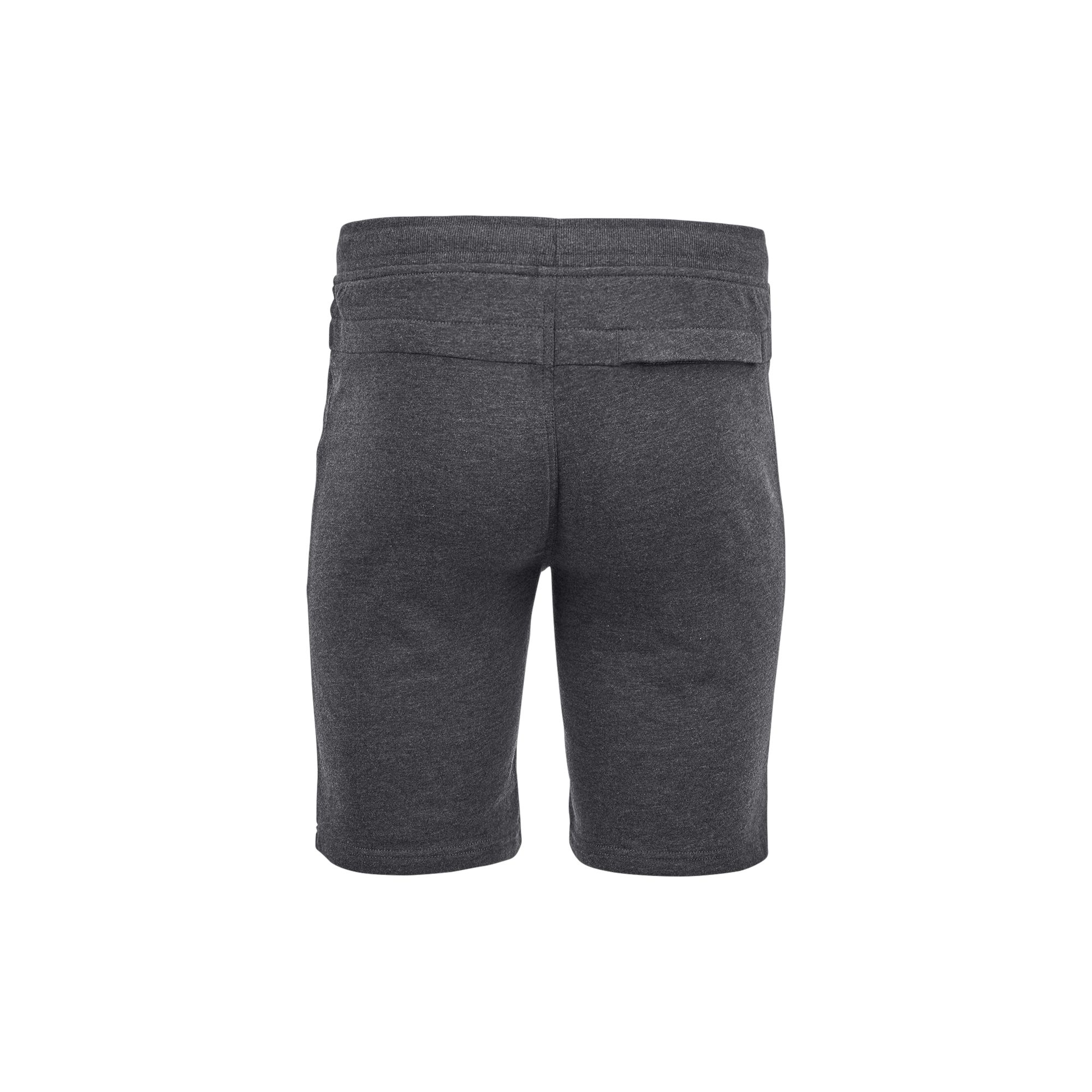 Site Seybold Grey Men's Shorts, Large