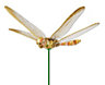 SKIP18C ASSORTED 4IN DRAGONFLY PLANT STA