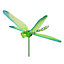 SKIP18C ASSORTED 4IN DRAGONFLY PLANT STA