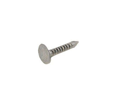 SKIP19B CLOUT NAILGALVANISED 1KG 20X3MM