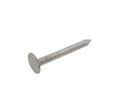 SKIP19B CLOUT NAILGALVANISED 1KG 30X3MM