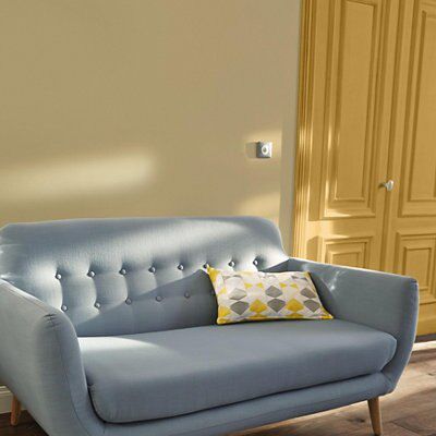 SKIP19B COLOURS ANY ROOM/SURFACE ONE COA