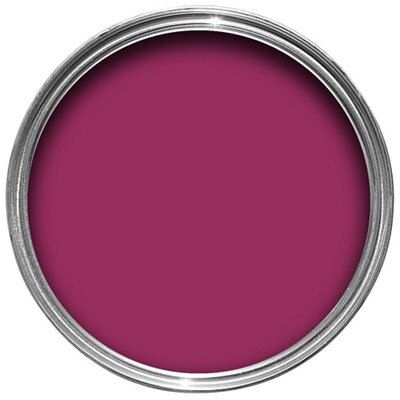 SKIP19B DULUX FEATURE WALL SUMPTUOUS PLU