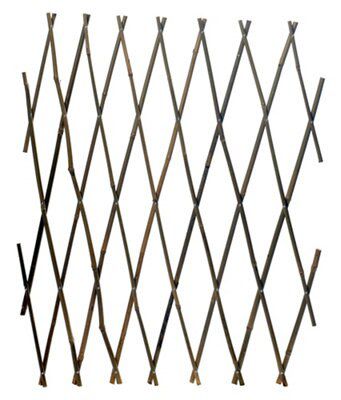 Image of Expanding bamboo trellis