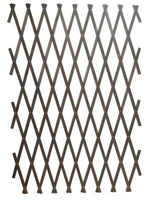 SKIP19B EXPANDING GARDEN TRELLIS 1800X90