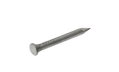 SKIP19B MASONRY NAILGALV. 500G 25X2.5MM
