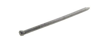 SKIP19B MASONRY NAILGALV. 500G 65X3.0MM