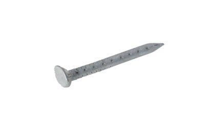 SKIP19B PLASTERBD NAILGALV 500G 30X2.65M