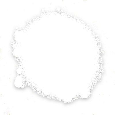 SKIP19B RON RAD PAINT QD AER WHITE GLS 4