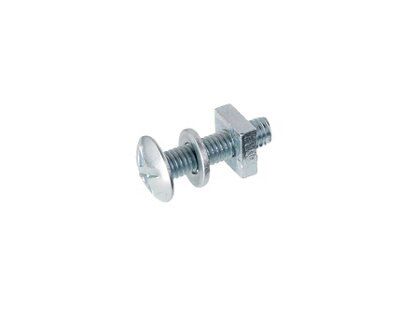 SKIP19B ROOFING BLT ZINC PLATED 10PC M6X