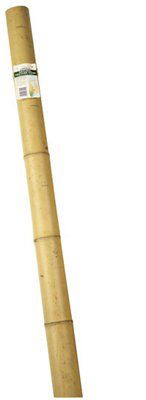 SKIP19C 1.8MX6CM FEATURE CANE NATURAL