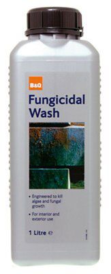 SKIP19C B&Q FUNGICIDAL WASH 1L