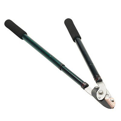SKIP19C TELESCOPICLOPPER