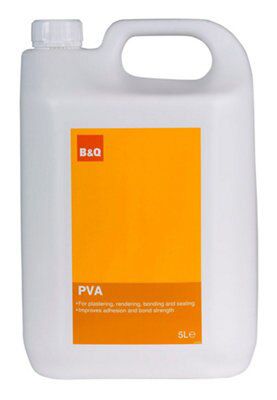 Skip20a B Q Pva 5l Diy At B Q