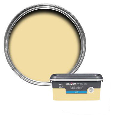 SKIP20A COLOURS DURABLE MATT EMULSION