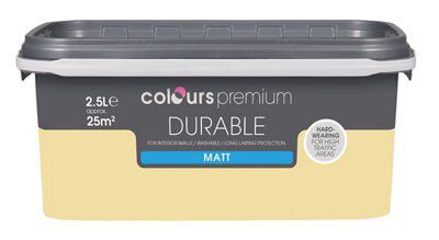 SKIP20A COLOURS DURABLE MATT EMULSION