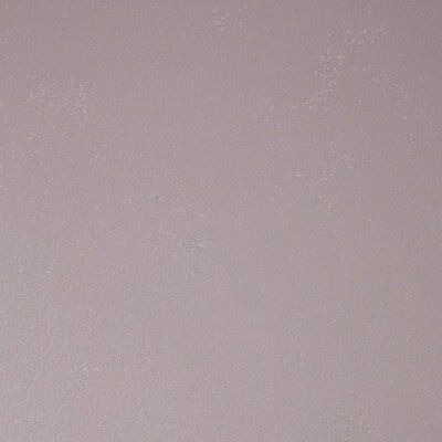 SKIP20A COLOURS FEATURE WALL GLITTER PAI
