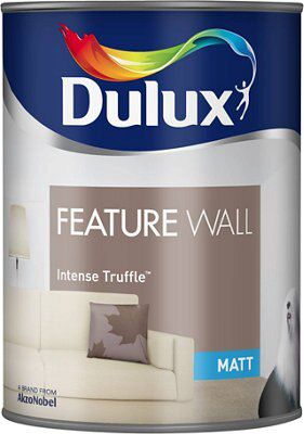 SKIP20A DULUX FEATURE WALLS INTENSE TRUF