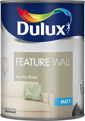 SKIP20A DULUX FEATURE WALLS OVERTLY OLIV