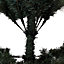SKIP20PP 7FT 213CM LED MAMISON TREE