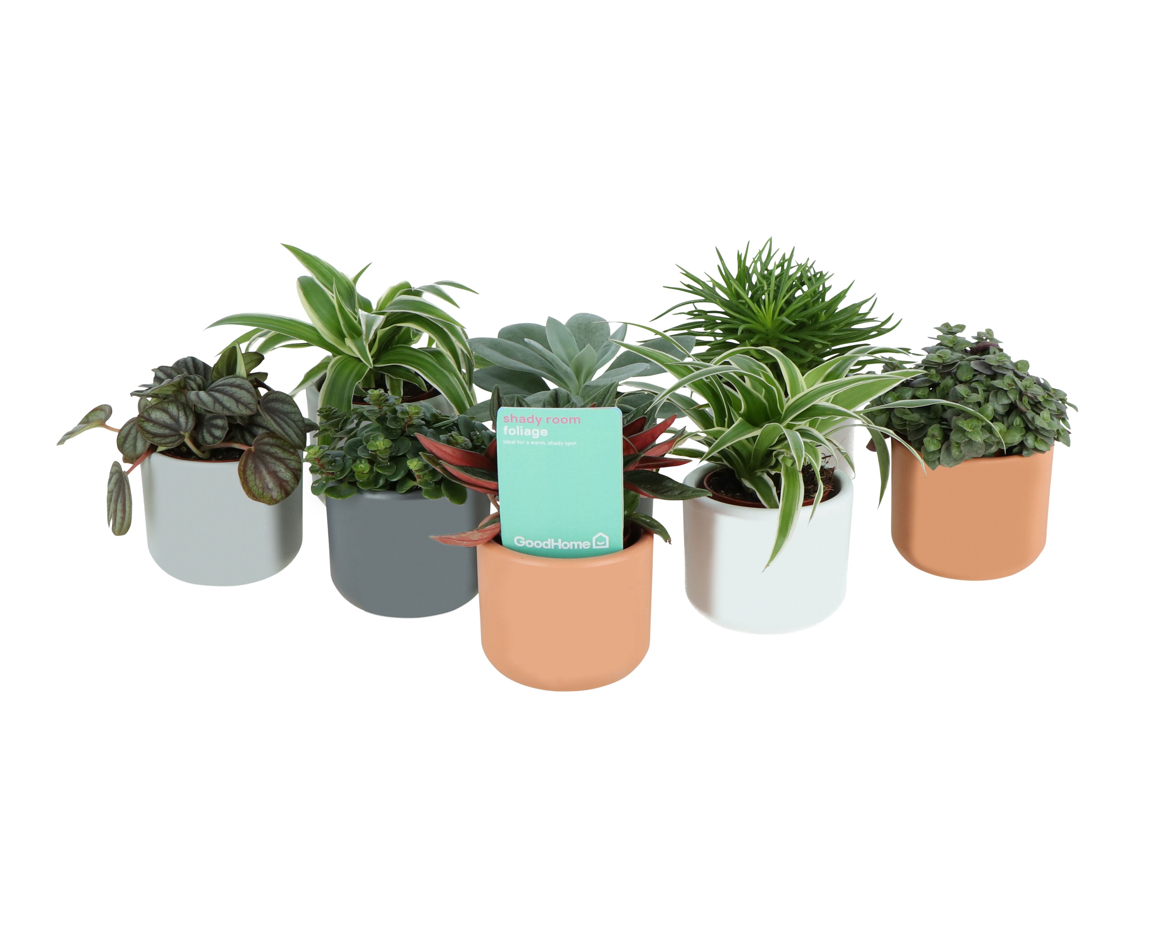 Indoor plant pots b&q sale