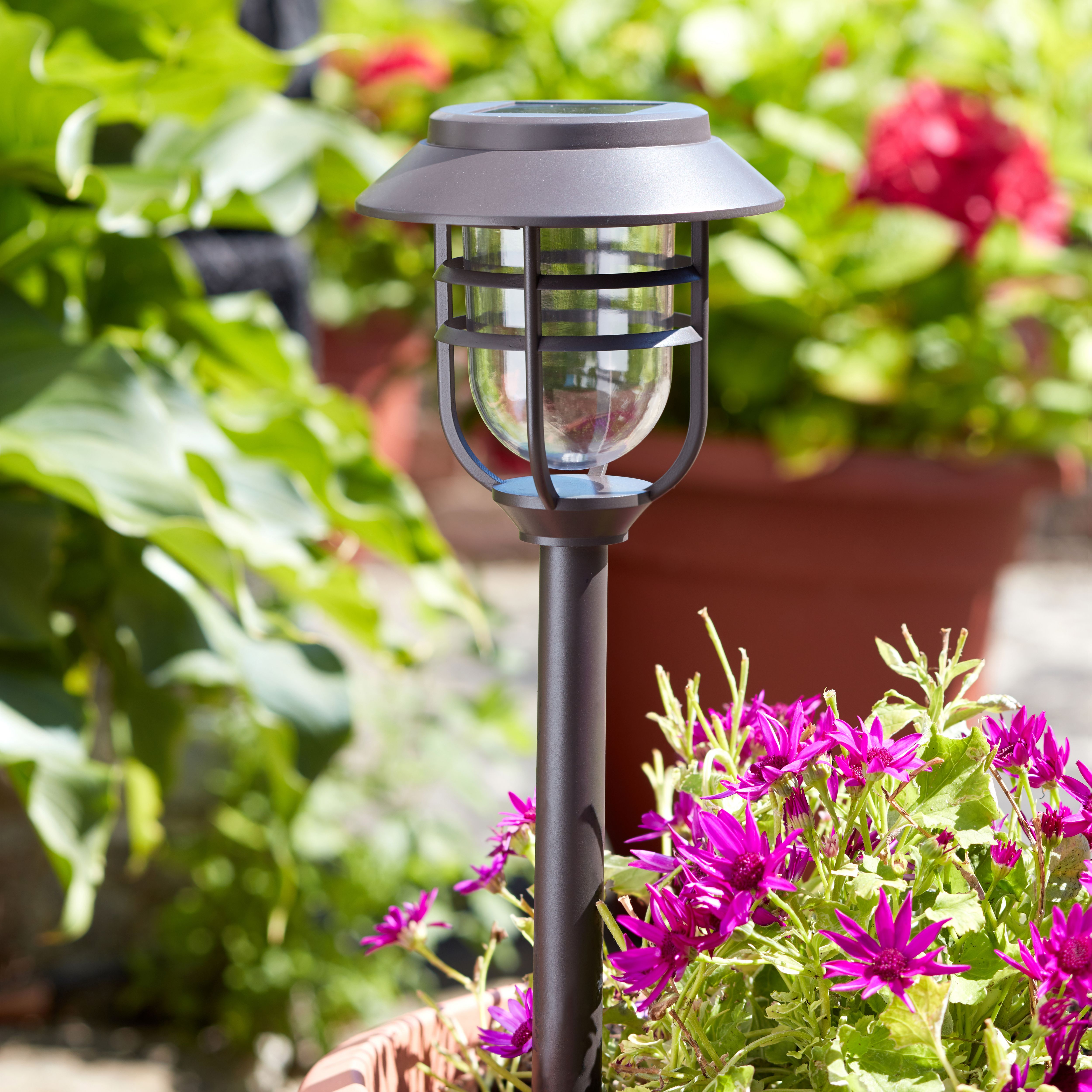 Smart Garden Avant Black Solar-powered LED Outdoor Decorative light, Pack of 5