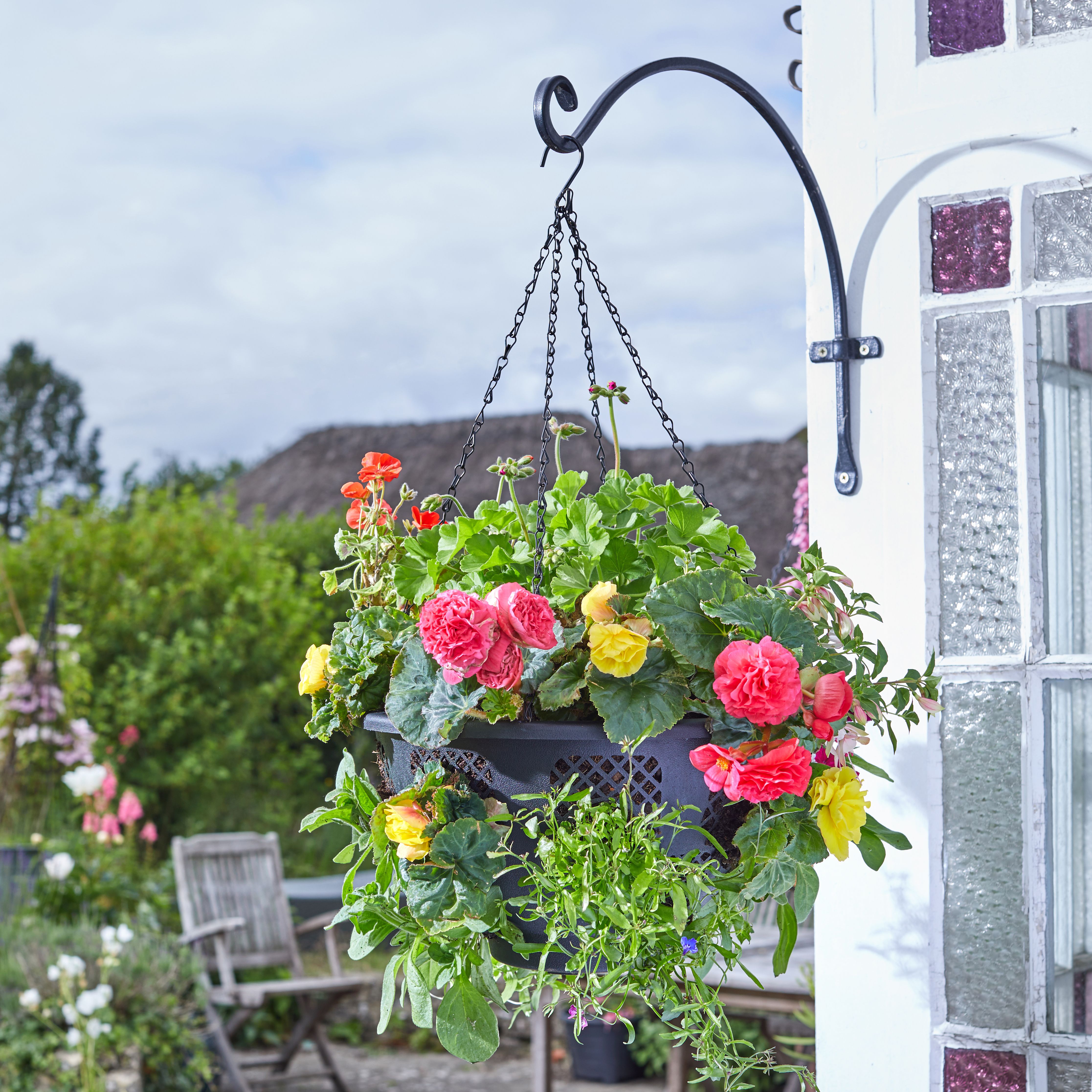 Smart Garden Black Round Plastic Hanging basket 38.5cm
