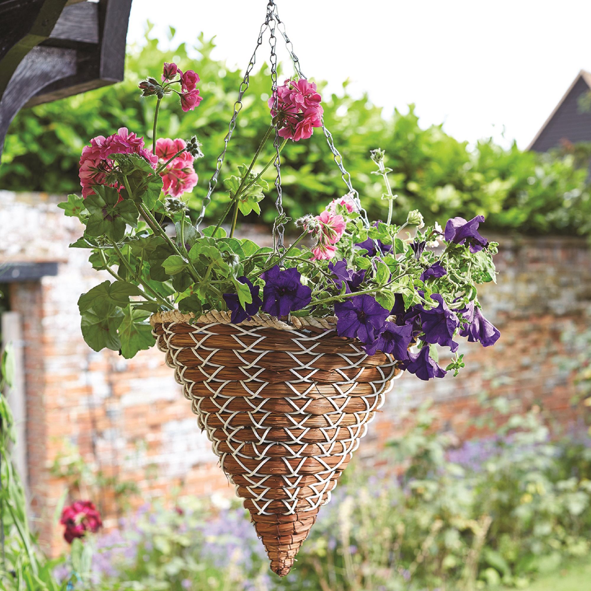 Cone Hanging Baskets