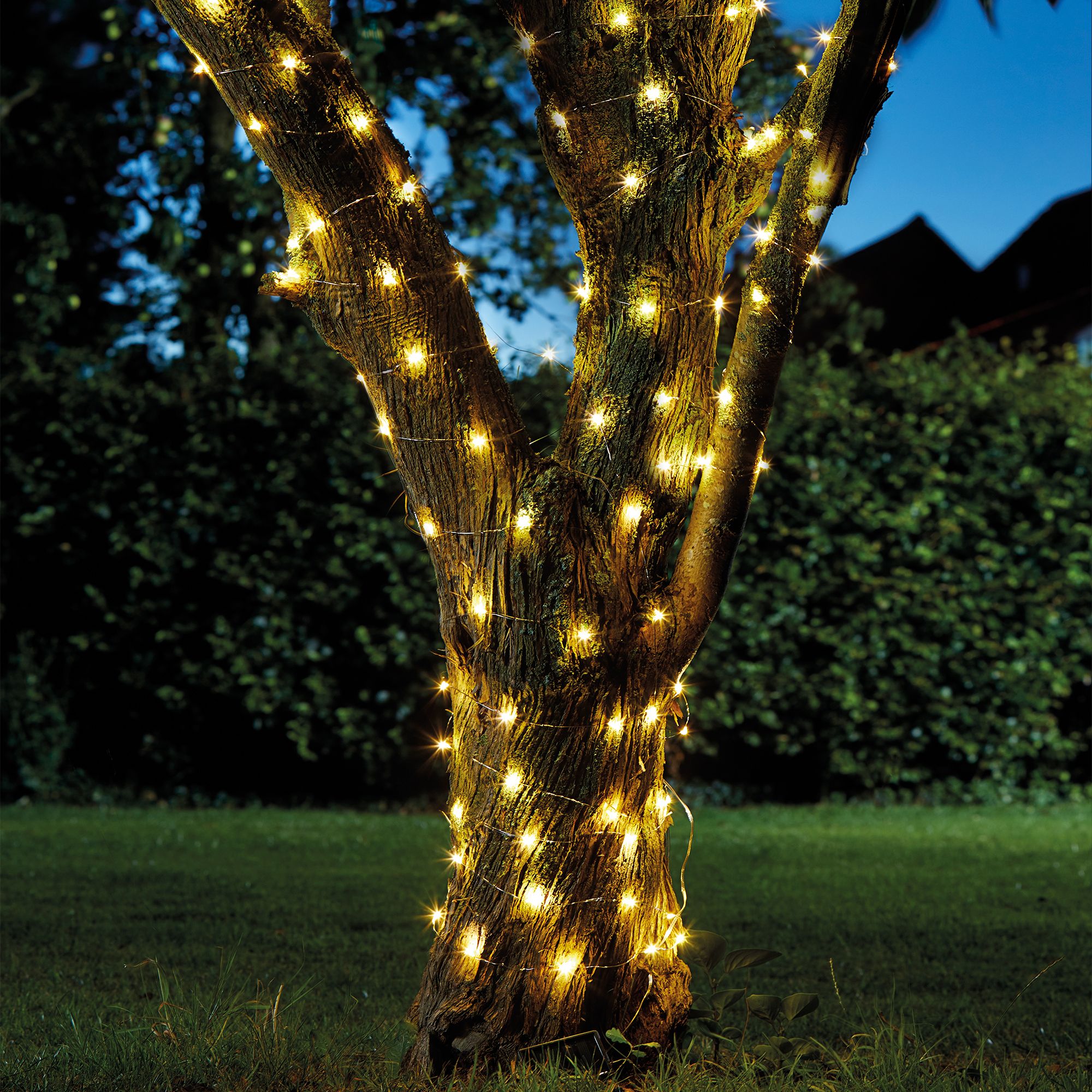 Smart Garden Firefly Solar-powered Warm white 200 LED Outdoor String lights, Pack of 1