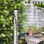 Smart Garden Galvanised Steel wire mesh roll, (L)0.9m