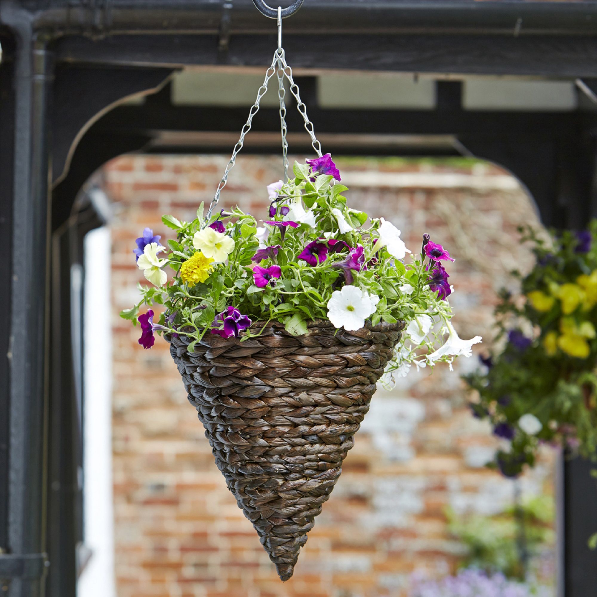 Smart Garden Hyacinth Hanging basket, 35cm | DIY at B&Q