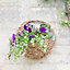 Smart Garden Hyacinth Natural Semi-circle Hanging basket
