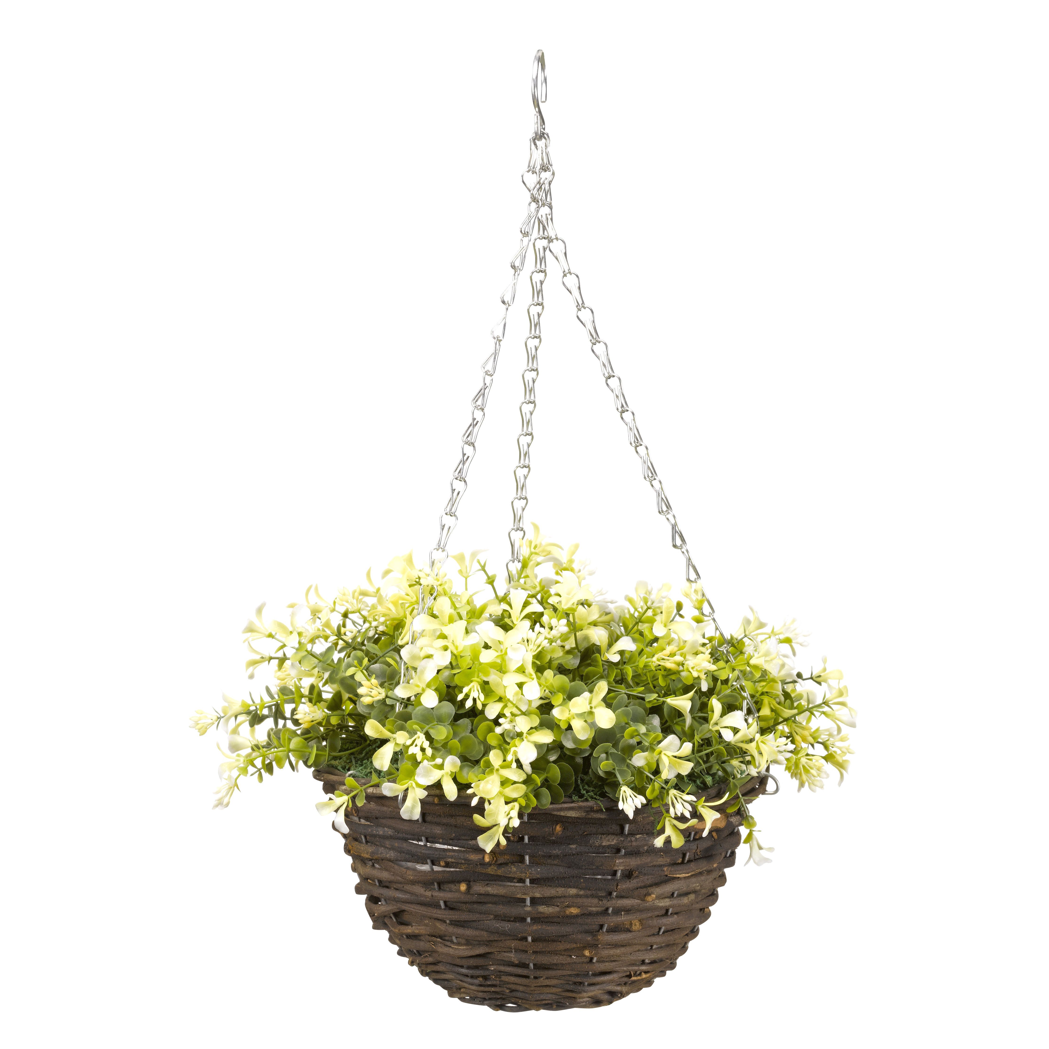 Smart Garden Petunia artificial Green Round Plastic Hanging basket, 25cm