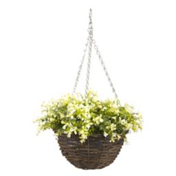 Smart Garden Petunia artificial Green Round Plastic Hanging basket, 25cm