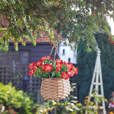 Essential oil + soy wax  Candle — AMONG THE FLOWERS