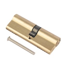 Smith & Locke Brass Single Euro Cylinder lock, (L)100mm (W)33mm