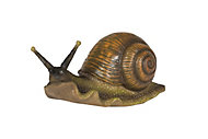 Snail Garden ornament (H)8cm