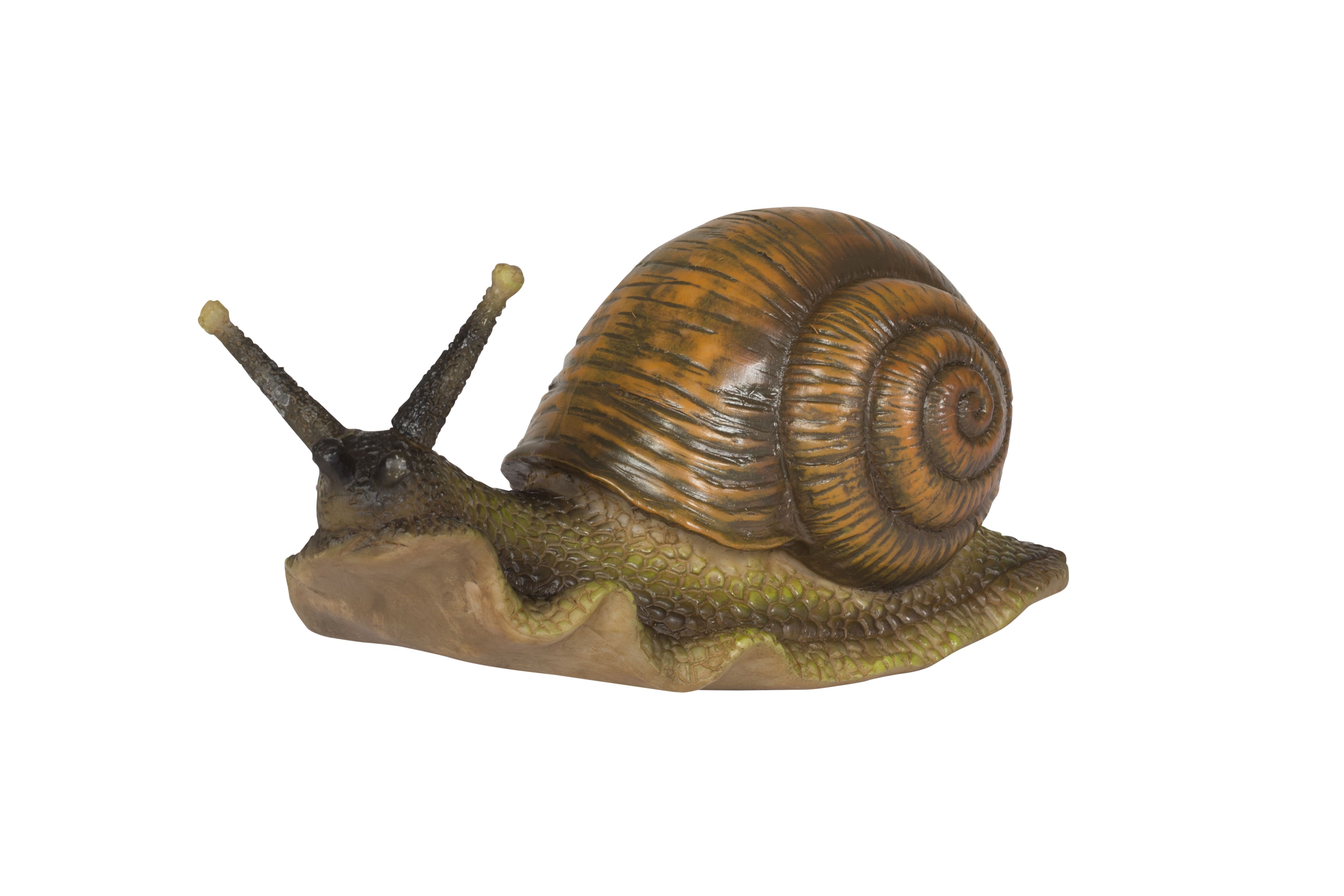 Snail Garden ornament DIY at B&Q