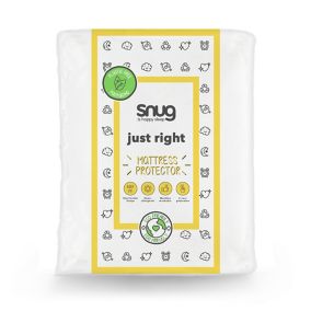 Snug Just right Double Mattress protector