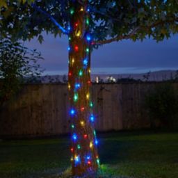 Solar Firefly Solar-powered Multicolour 100 LED Outdoor String lights