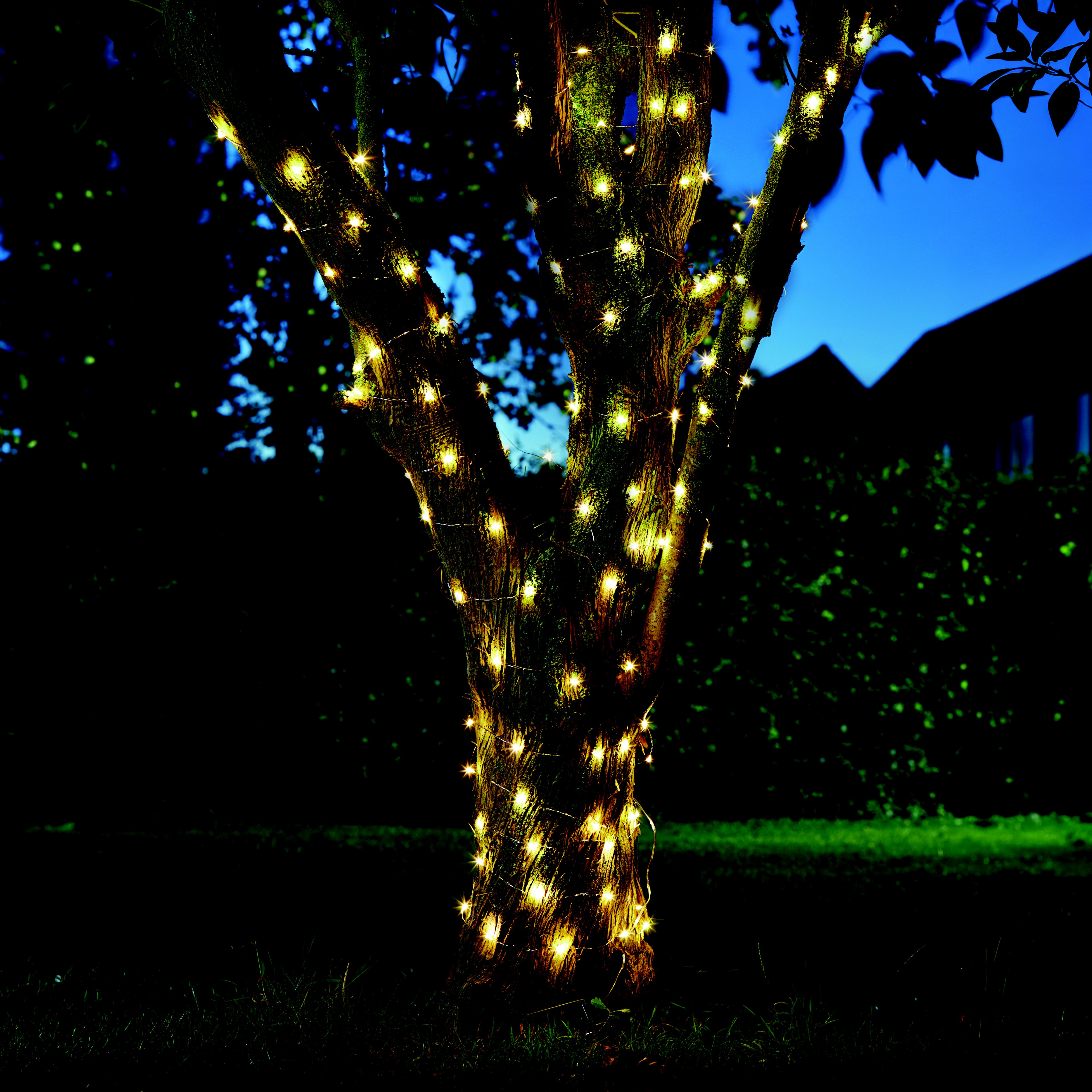 Solar String Lights Firefly Battery-powered Warm white 100 Integrated ...