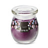 Spaas Frozen berries Jar candle