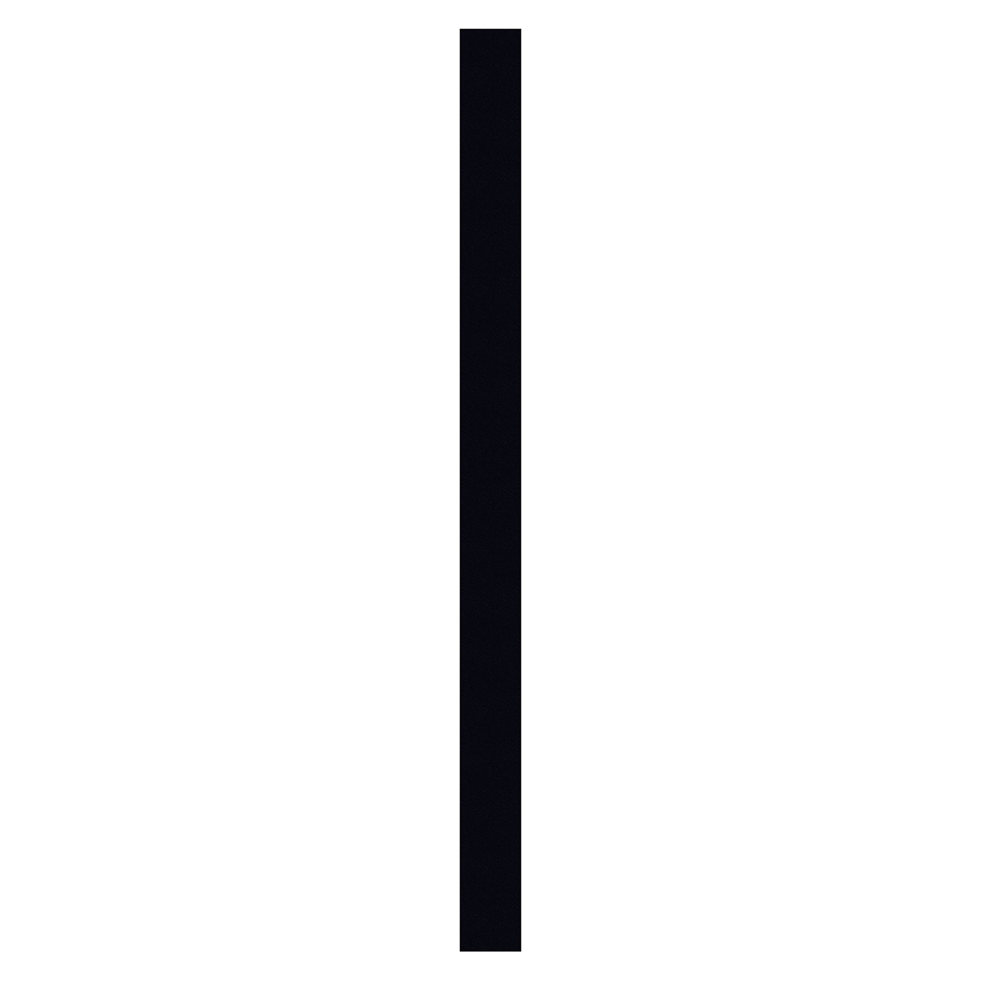 Spacepro Contemporary Matt black Wardrobe Liner panel (L)2800mm (W)90mm